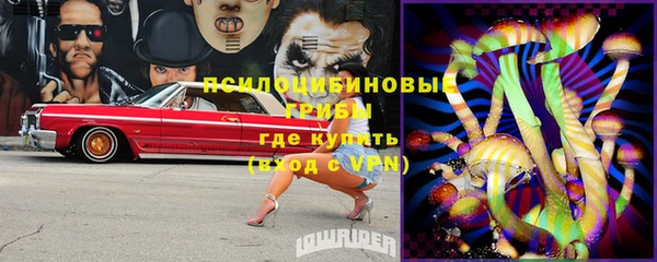 не бодяженный Кукмор