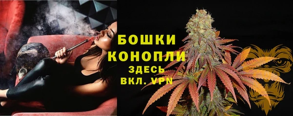 бошки Лабытнанги